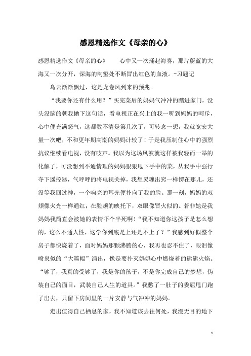 感恩精选作文《母亲的心》