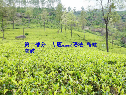 中考英语 第二部分 专题语法 高效突破 专项4 代词课件
