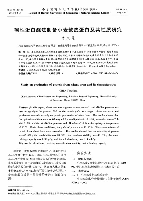 碱性蛋白酶法制备小麦麸皮蛋白及其性质研究