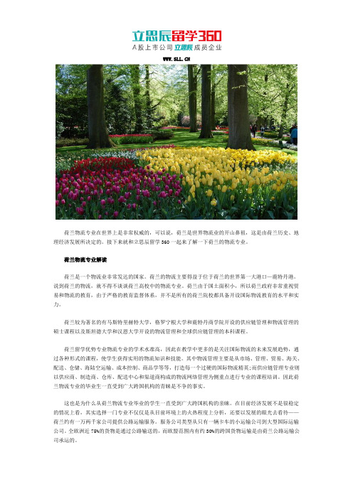 荷兰留学物流专业