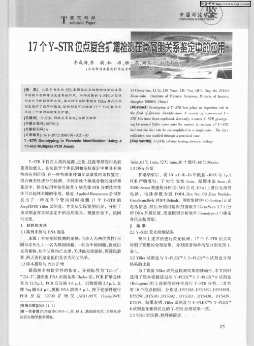 17个Y-STR位点复合扩增检测在半同胞关系鉴定中的应用
