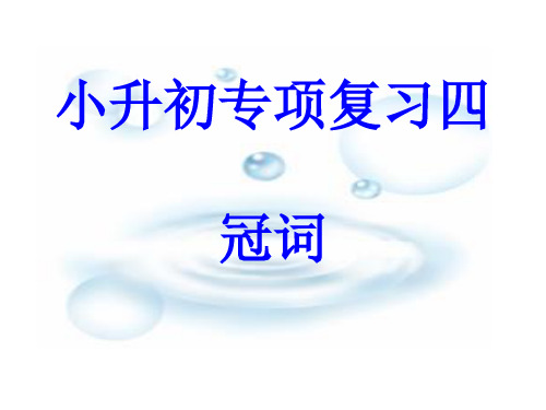 小升初专项复习四 冠词