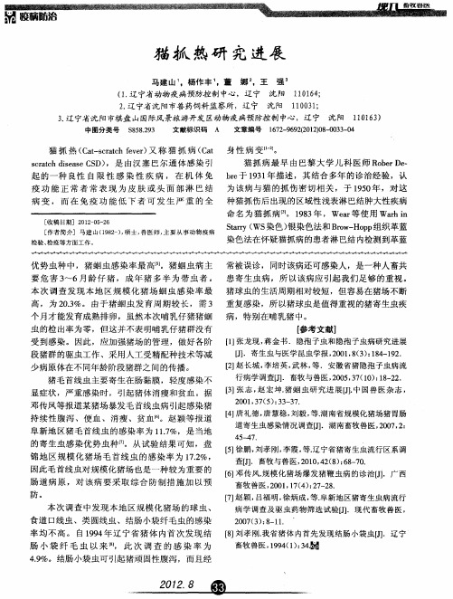 猫抓热研究进展