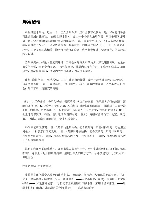 蜂巢结构