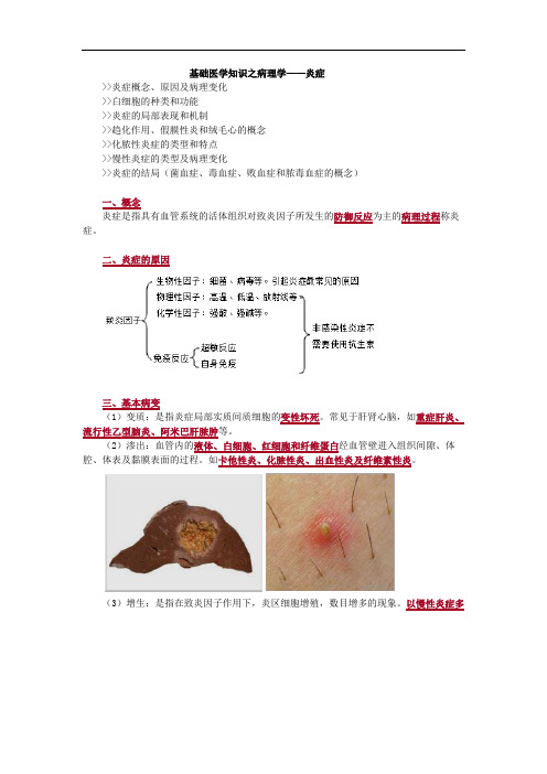 基础医学知识之病理学——炎症