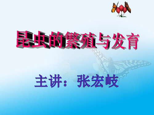 昆虫繁殖与发育