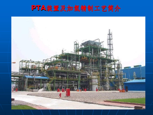PTA装置及工艺PPT课件