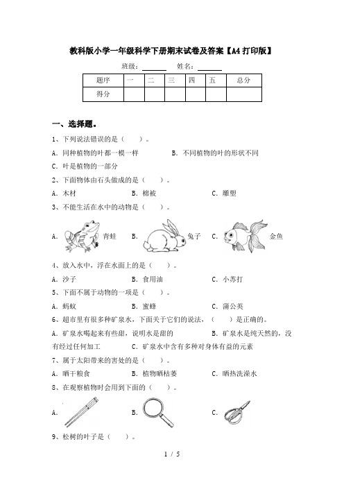 教科版小学一年级科学下册期末试卷及答案【A4打印版】