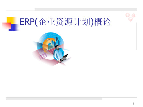 ERP概论(32-1-2)PPT课件