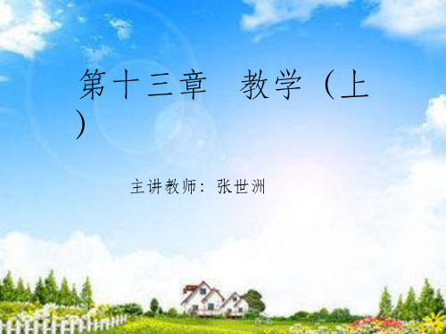 教育学教学——第十三章