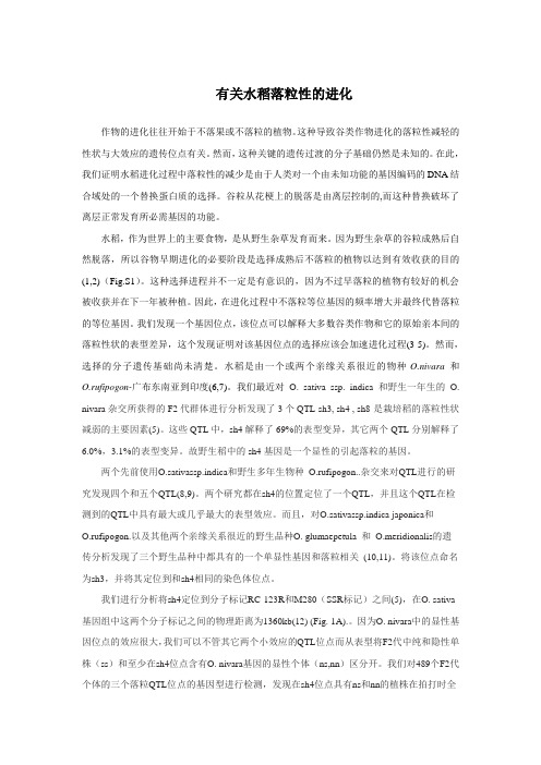 水稻落粒性