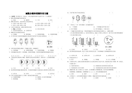 减数分裂和受精作用习题
