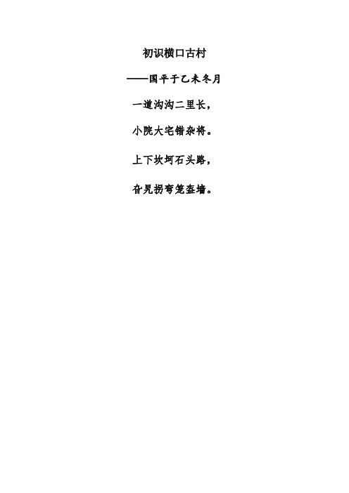 南横口古村落总体概况