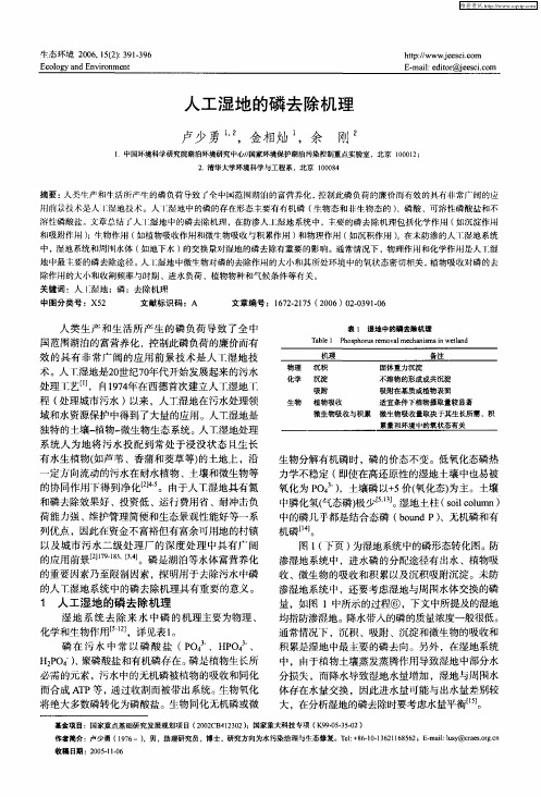 人工湿地的磷去除机理