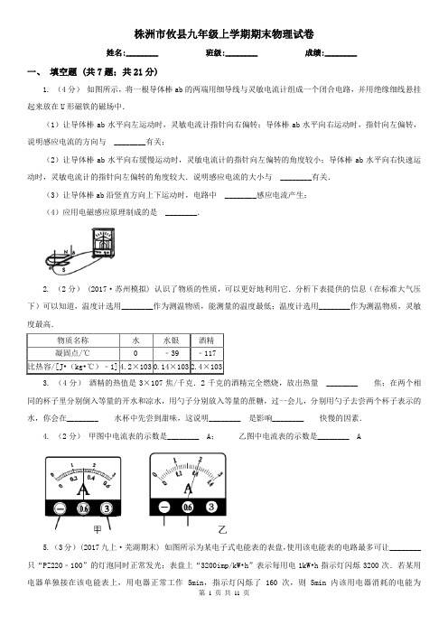 株洲市攸县九年级上学期期末物理试卷