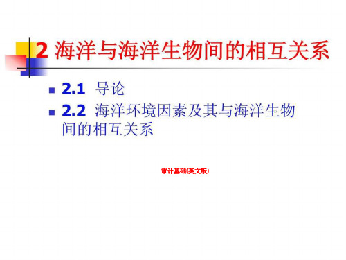 审计基础(英文版)