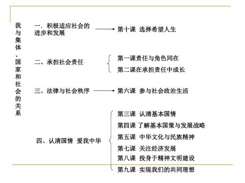 九年级思想品德总复习课件