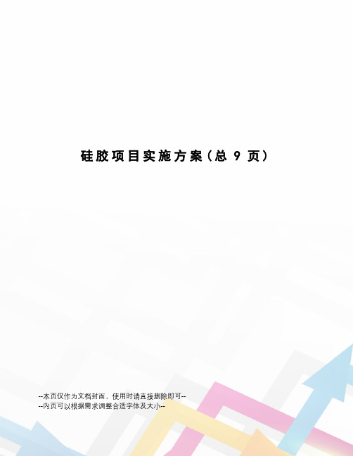 硅胶项目实施方案