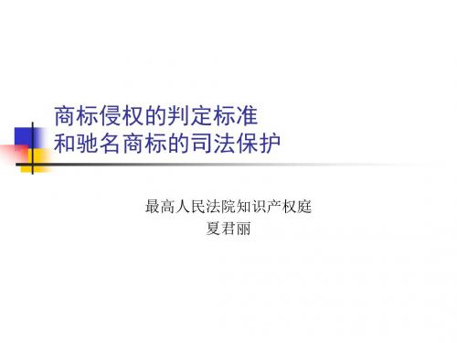 新商标讲稿-夏君丽