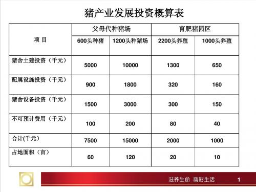 园区预算