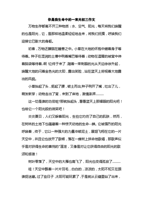 你是我生命中的一束光初三作文