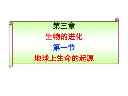 地球上生命的起源 PPT课件10 人教版