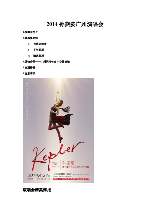 2014孙燕姿克卜勒世界巡回演唱会广州站