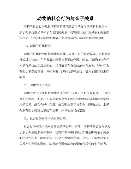 动物的社会行为与亲子关系
