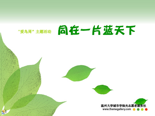 爱鸟周PPT