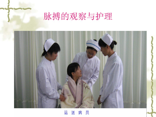 护理学基础 脉搏的观察与护理