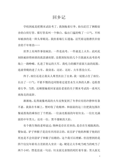 回乡记