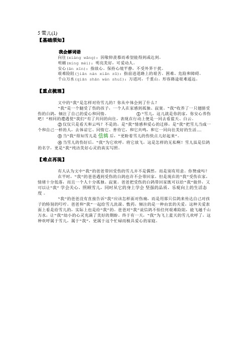 5 雪儿(1)-要点梳理 (1)