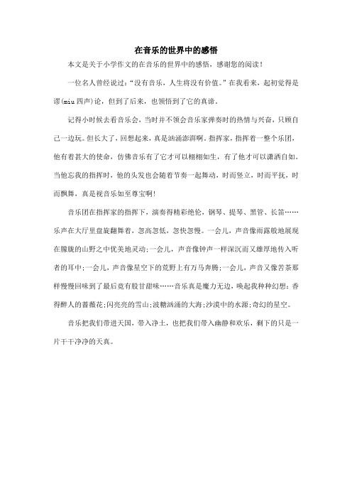 在音乐的世界中的感悟_小学作文