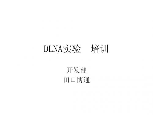 DLNA- 汉语版2