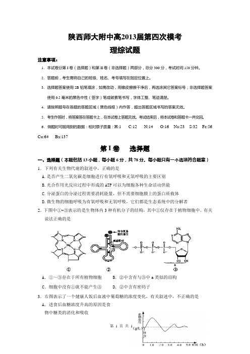 2013届陕西师大附中高三第四次模拟考试理综卷(2013.03)