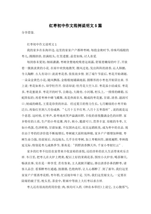 红枣初中作文范例说明文5篇