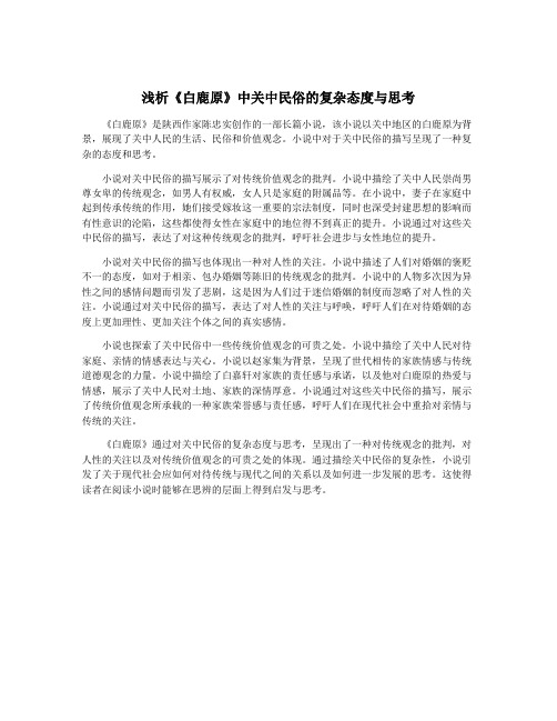 浅析《白鹿原》中关中民俗的复杂态度与思考