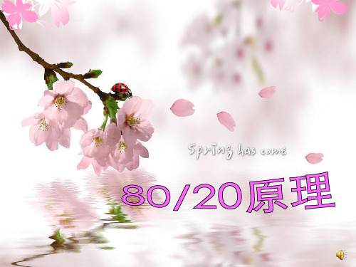 8020原理