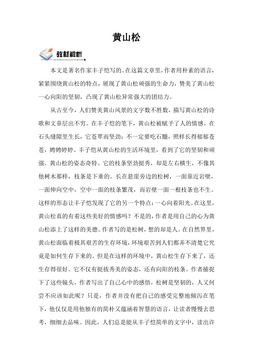 北师版语文六年级上册 黄山松
