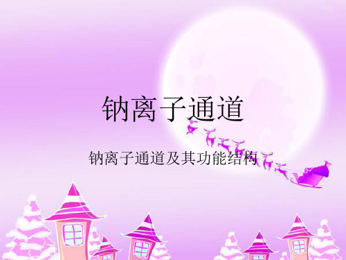钠离子通道