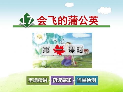 长春版五年级语文下册 17.会飞的蒲公英【第1课时】【新版】