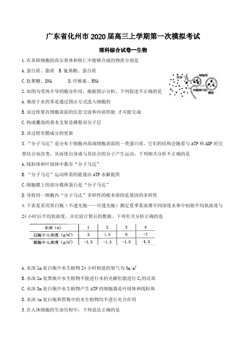 广东省化州市2020届高三上学期第一次模拟考试 理综