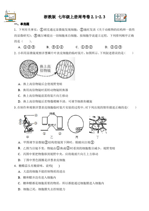 测试卷04(2.1-2.3)(原卷版)-2024-2025学年七年级科学上册周考限时测试卷