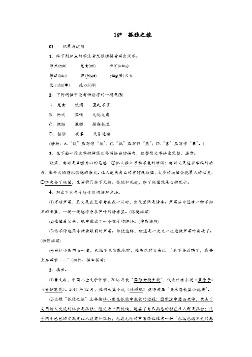 部编(统编)版2019年九年级语文上册16孤独之旅习题【精品】