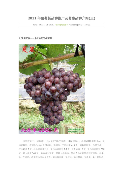 2011年葡萄品种介绍三
