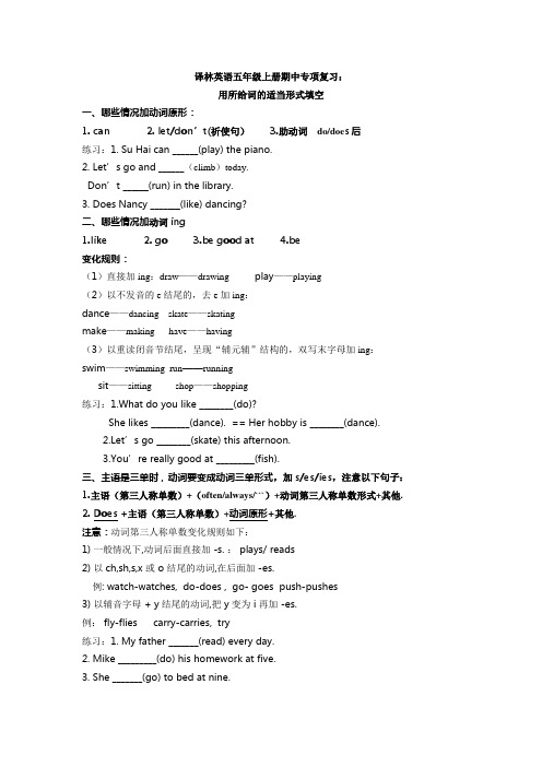 译林英语五年级上册期中专项复习