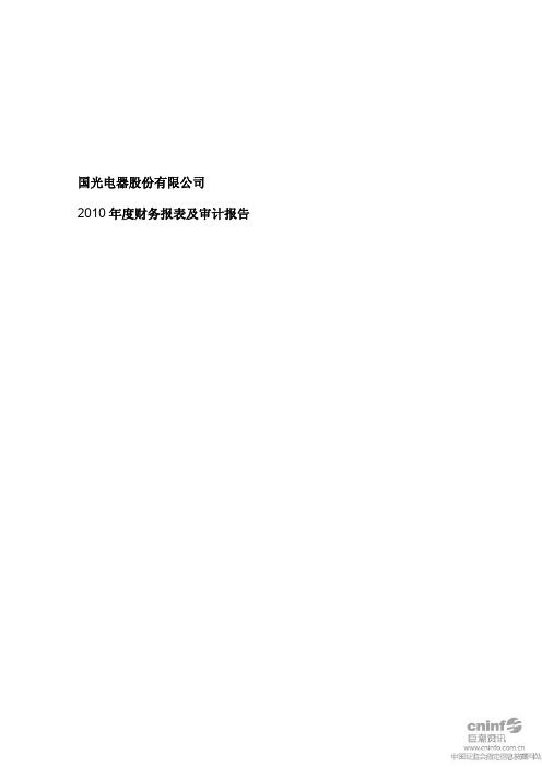 广州国光年度审计报告