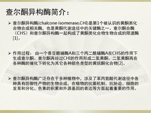 查尔酮异构酶简介-文档资料
