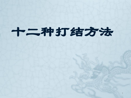 十二种打结方法ppt课件