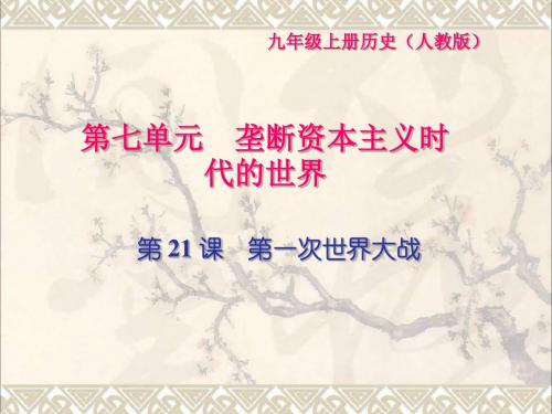 九年级历史上册第七单元垄断资本主义时代的世界第21课第一次世界大战习题课件新人教版